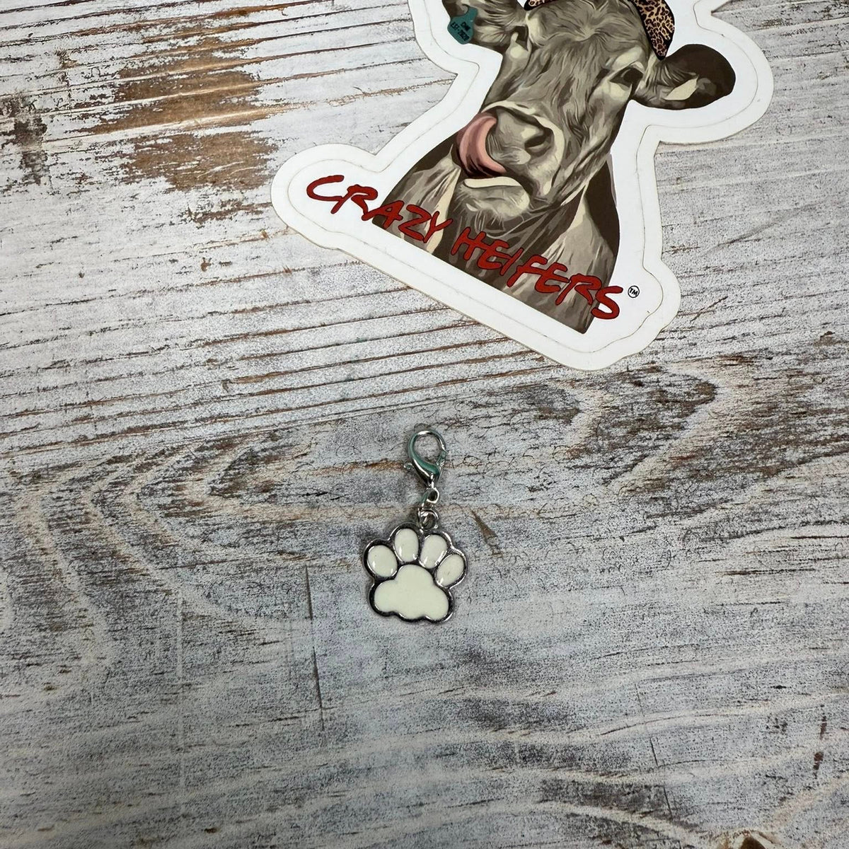 Clip-on Charms Silver Tone V6- Paws