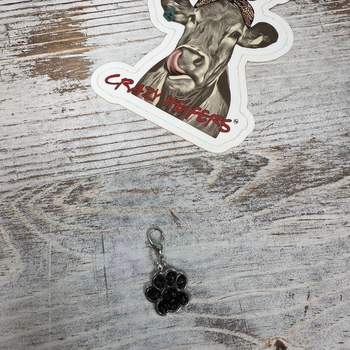 Clip-on Charms Silver Tone V6- Paws